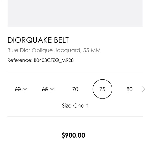 Authentic Large Diorquake Logo Belt - Picture 9 of 11